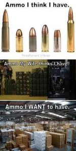 ammo-i-think-i-have-ammo-my-wife-thinks-i-have-ammo-i-want-to-have.jpg