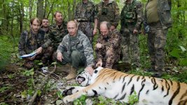 Gty_tiger_putin_mm_150715_16x9_992.jpg