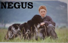 negus-e-figli-093.jpg