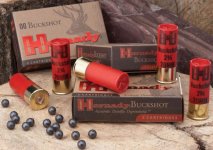 hornady-12ga-00-buckshot-superformance.jpg