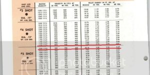 shot size velocity & energy table.jpg