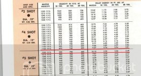 shot size velocity & energy table.jpg