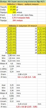 NSI Super caccia Long distance 38gr #3_5.jpg