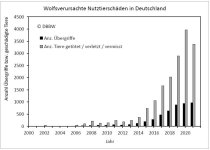 DBBW_Bericht_2021.jpg