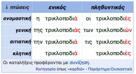 Στιγμιότυπο 2023-03-24, 9.49.37 μμ.png