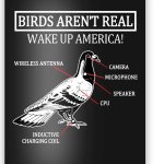 bar1117315-birds-arent-real-wake-up-america-black-post-garment_webp.jpg