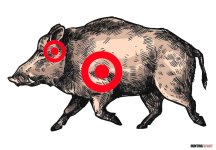 Hog Target111.jpg